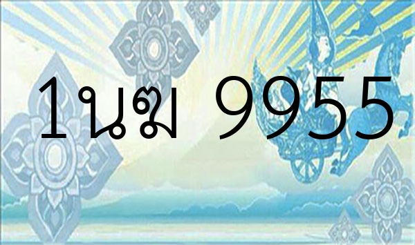 1นฆ 9955